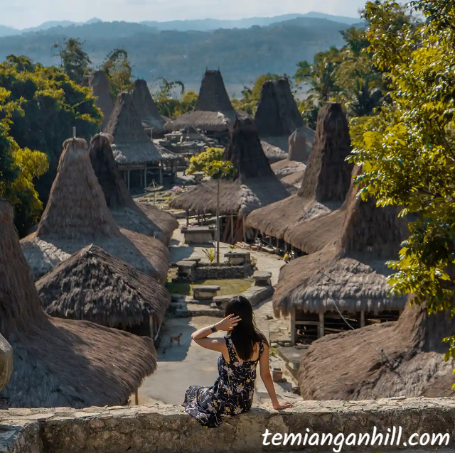 Wisata Desa Adat Sumba: Tradisi dan Keindahan